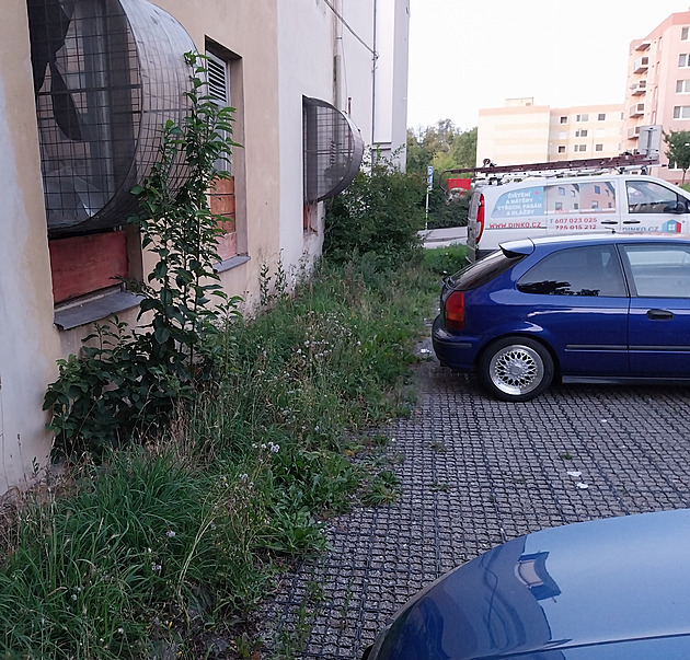 Za modrou čárou. Placené parkoviště v Jihlavě se starými střepy zarůstá