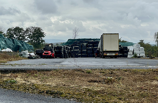 Válka se šváby. Vesnice dál čelí náporu hmyzu, lidé se spojili a sdílejí rady