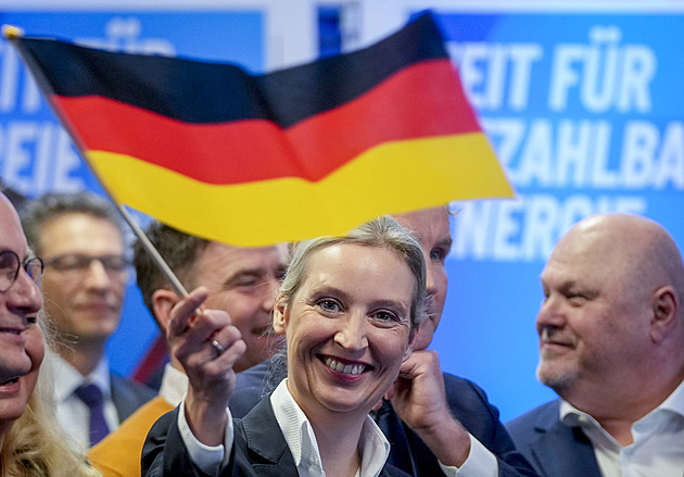 AfD zneužívá smrti svých sedmi kandidátů ke konspiracím, kritizuje ji deník