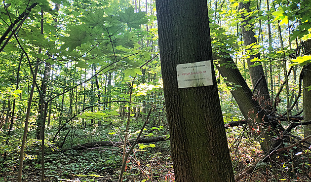 Petice proti známému developerovi. Tepličané nechtějí byty u lesoparku