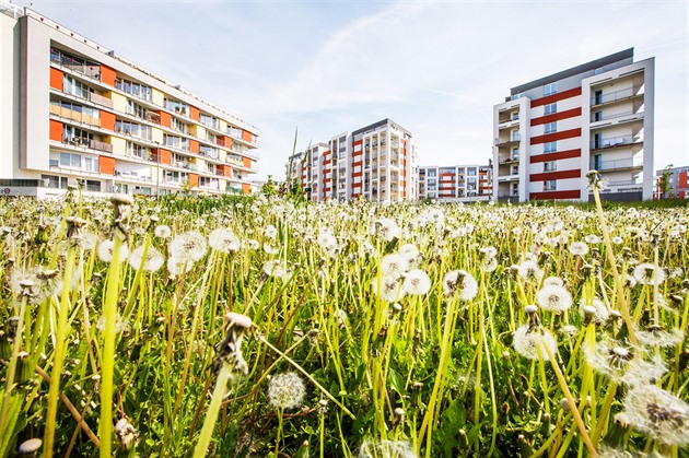 Dostupné bydlení. Praha rozšíří možnost čerpání z fondu, přestaví i ubytovnu