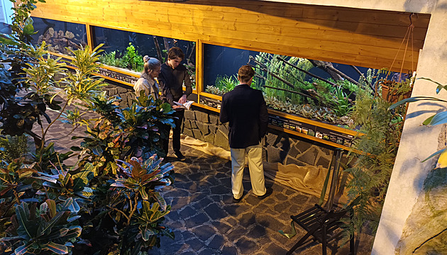 Akvária, co se o sebe starají. Botanická zahrada v nich ukazuje ohrožené druhy