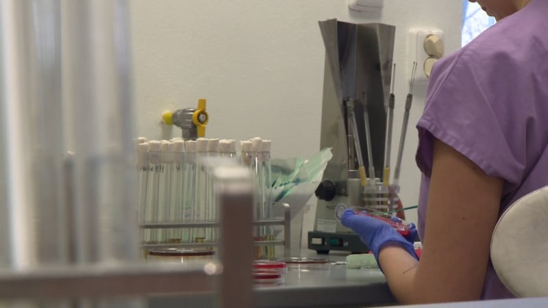 Drastický dopad nemoci špinavých rukou: V Praze jí podlehlo už 10 lidí, v celé zemi dvojnásobek