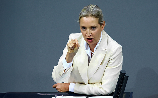 „Protipožární zeď“ nezabrala, co teď s AfD? Zákazy nejsou řešení, zaznívá z CDU
