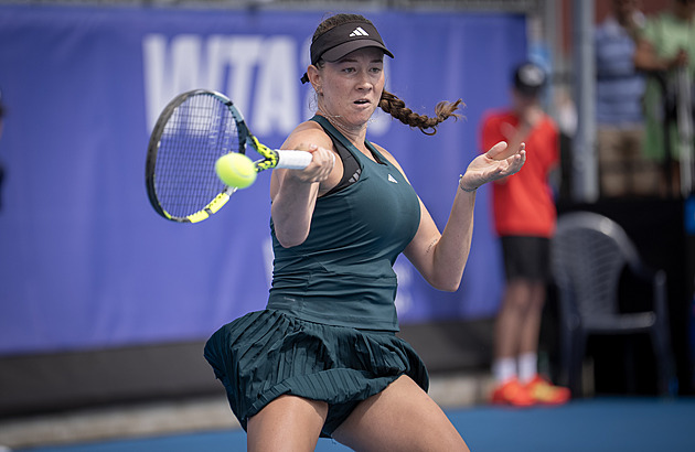 Šalková na první finále na okruhu WTA nedosáhla, v Číně podlehla Blinkovové