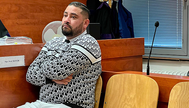 Další verdikt za napadení na koupališti v Dubí. Soud poslal dva muže do vězení