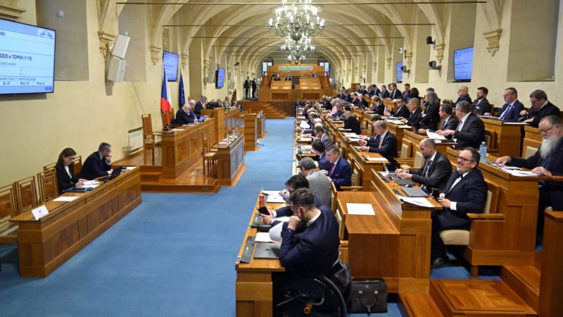 Vláda řeší, jak na senátní volby. Ve hře jsou jeden i dva společní kandidáti pro daný obvod