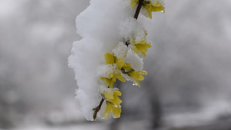 O víkendu udeří déšť i sníh a teploty jako v zimě. RADAR ukazuje, jak bude ve vašem kraji