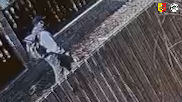 Ženu srazil na schody a ukradl jí důchod. Hledaný násilník má specifickou chůzi