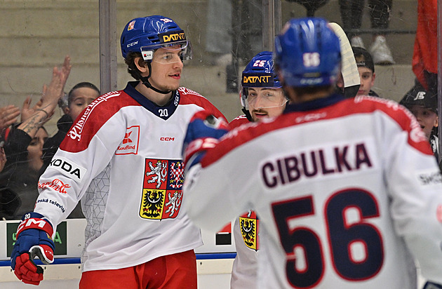 Čeští hokejisté opět porazili Německo. V Karlových Varech inkasovali až v závěru