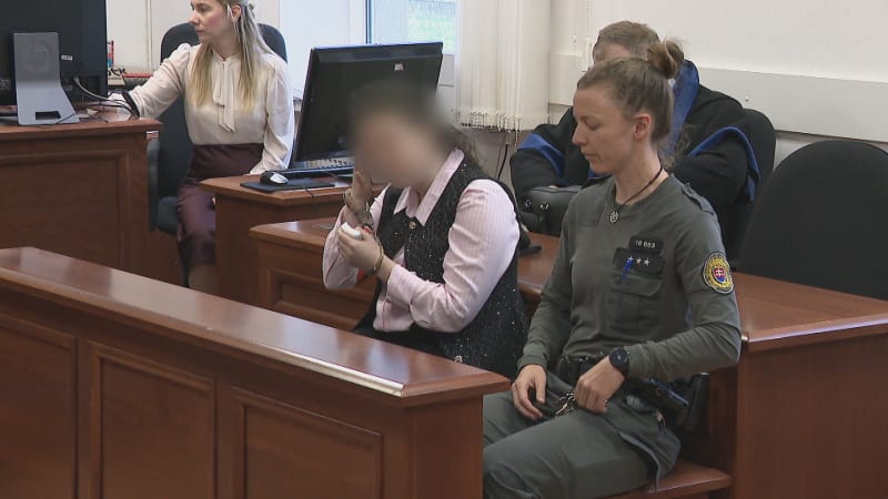Neslyšící Slovenka zavraždila syna sekerou. Hrozilo jí doživotí, soud byl mírnější