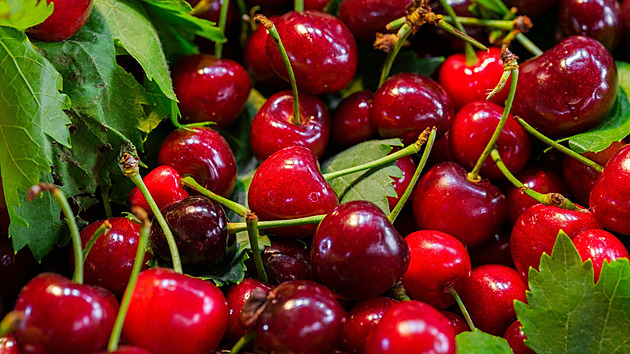 Že antidepresiva nerostou na stromech? Ale kdeže! Právě dozrávají třešně