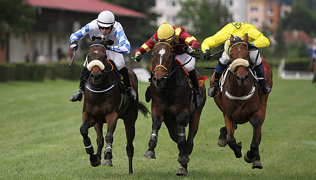Dostihy Karlovy Vary dnes (2. 8.) živě: Program, výsledky, vstupenky