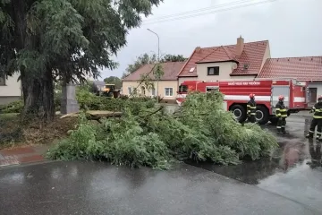 Na jihu Moravy jsou po bouřkách tisíce domácností bez proudu